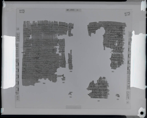 Codex VII, remnants 94e-96e and 97e-99e