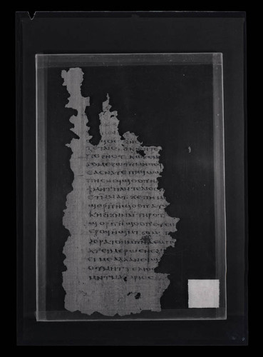 Codex VIII, papyrus page 80