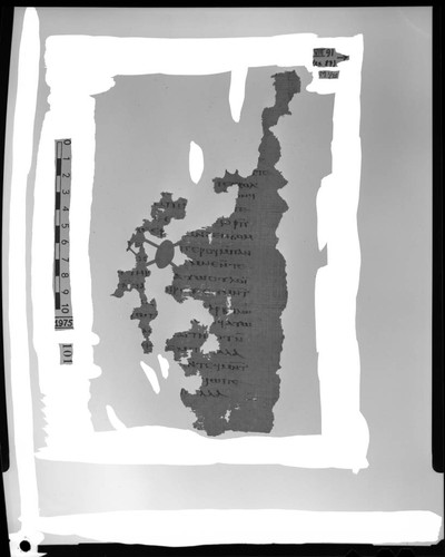 Codex VIII, papyrus page 91