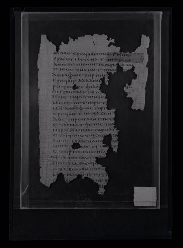 Codex VIII, papyrus page 120