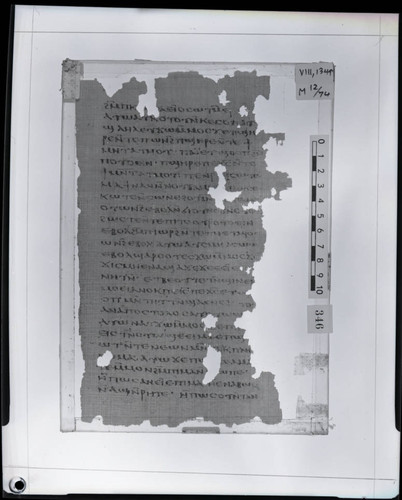 Codex VIII, papyrus page 134