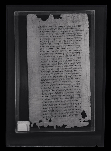 Codex VII, papyrus page 76