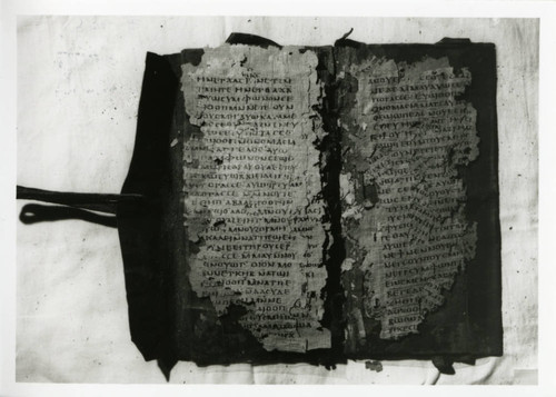 Codex X, opened at pages 30-31