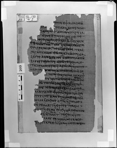 Codex III Papyrus page 133
