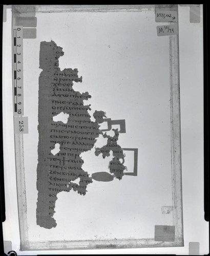 Codex VIII, papyrus page 42