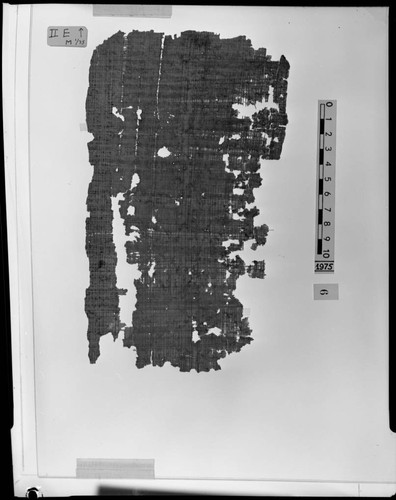 Codex II, papyrus page E