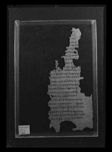 Codex VIII, papyrus page 57