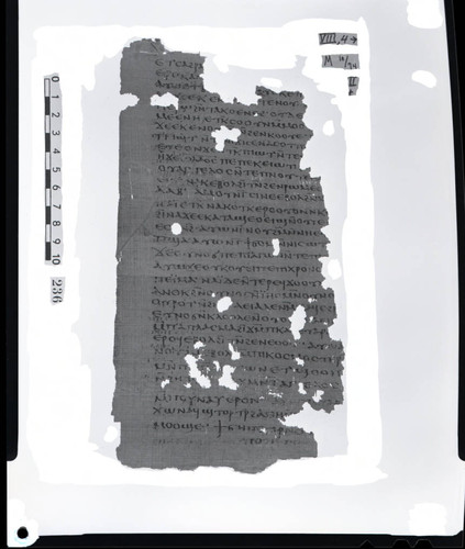 Codex VIII, papyrus page 4