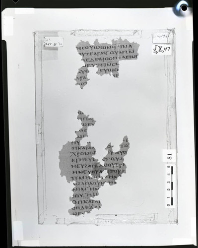 Codex X papyrus page 37
