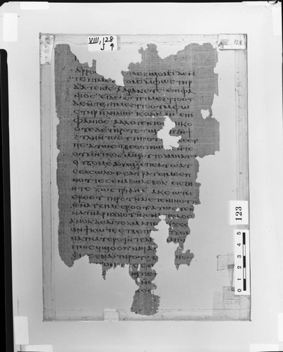 Codex VIII papyrus page 128