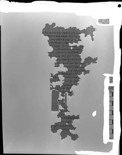 Codex IX, papyrus page 13