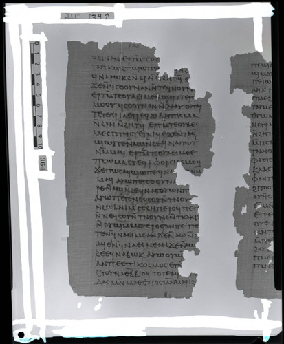 Codex III, papyrus page 134