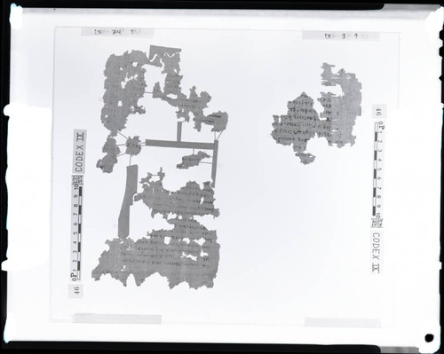 Codex IX, papyrus pages 3 and 74