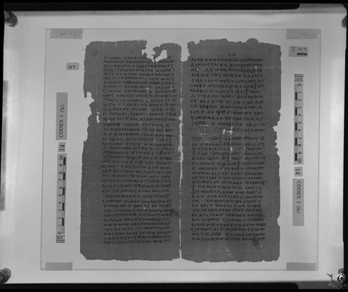 Codex I, papyrus pages 54 and 31