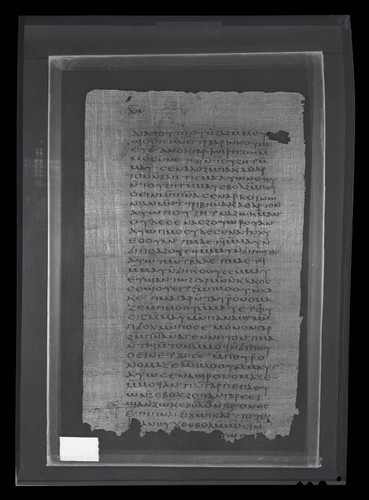 Codex VII, papyrus page 38
