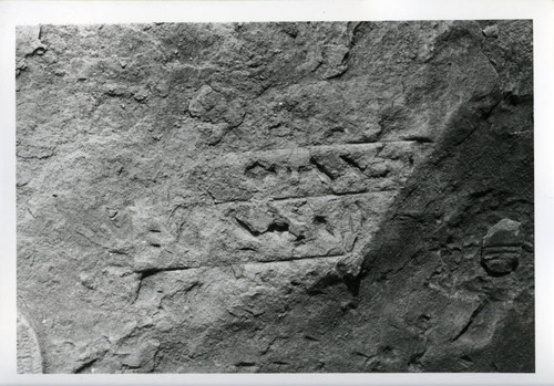 Close-up of tomb hieroglyphs Cave T 152