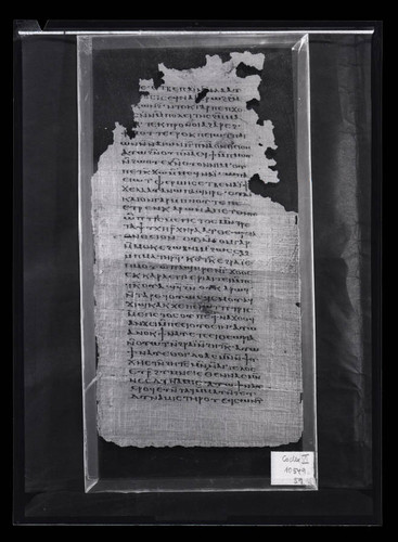 Codex VI, papyrus page 59