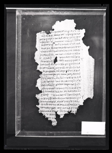 Codex V, papyrus page 80