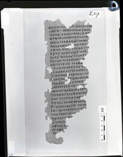 Codex X papyrus page 29