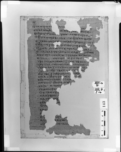 Codex VIII papyrus page 8