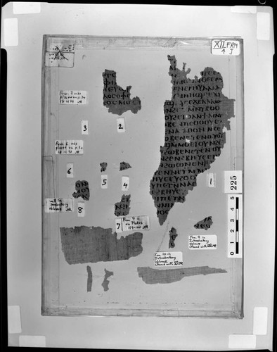 Codex XII papyri fragments