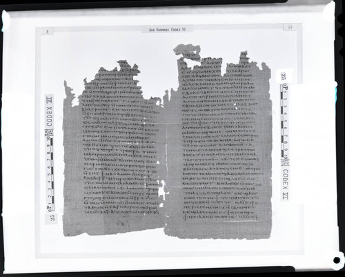 Codex VI papyri pages 8 and 69