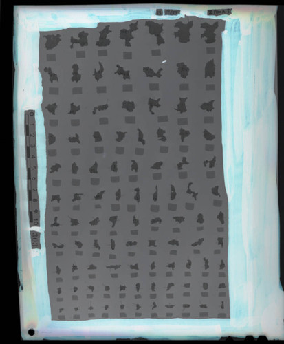 Codex IV fragments
