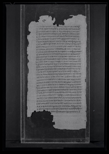 Codex II, papyrus page 40
