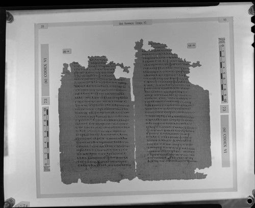 Codex VI, papyrus pages 28 and 49