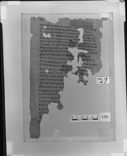 Codex VIII papyrus page 18