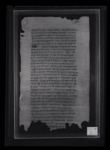 Codex VII, papyrus page 99
