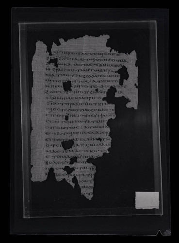 Codex VIII, papyrus page 116
