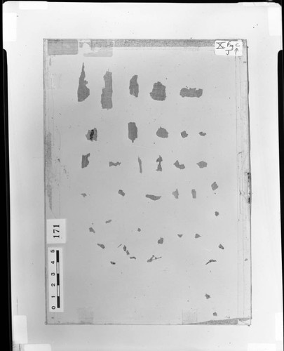 Codex X unidentified papyri fragments