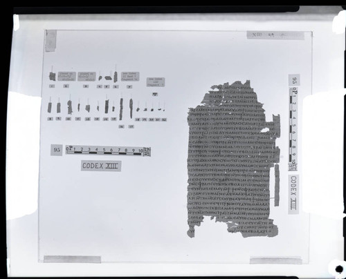 Codex XIII, papyrus page 49