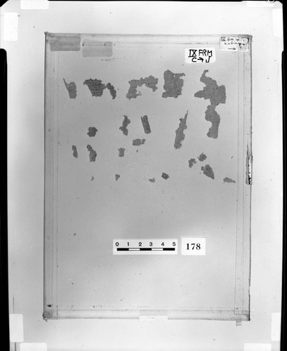 Codex IX papyri fragments