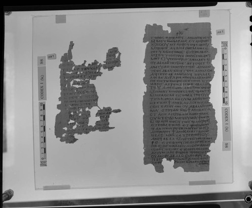 Codex I, papyrus pages 138 and 123