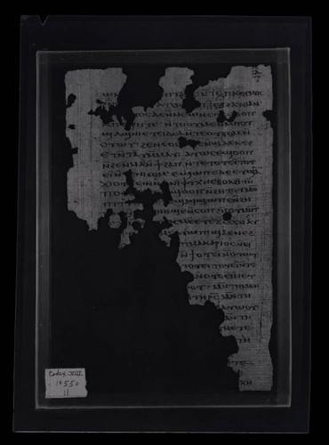 Codex VIII, papyrus page 11