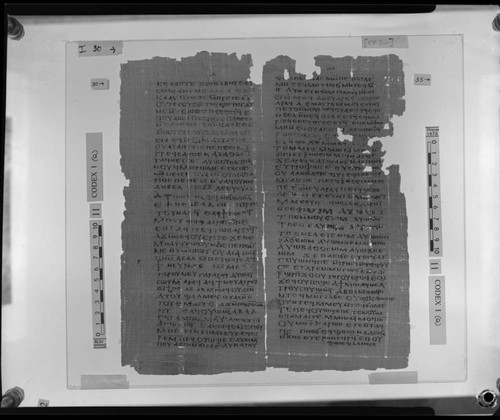 Codex I, papyrus pages 30 and 55