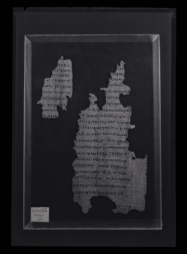 Codex VIII, papyrus page 59