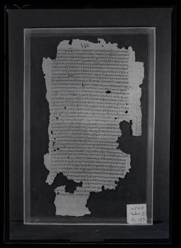 Codex II, papyrus page 141