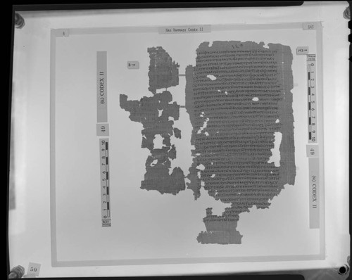 Codex II, papyrus pages B and 143