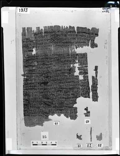 Codex VII cartonnage fragments