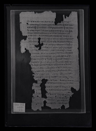 Codex VIII, papyrus page 129
