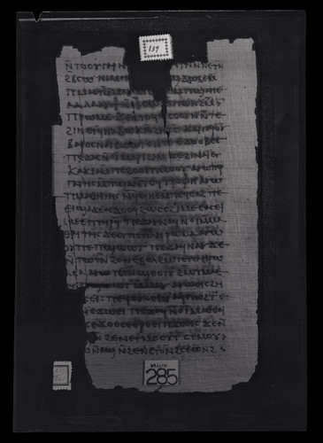 Codex III, papyrus page 139
