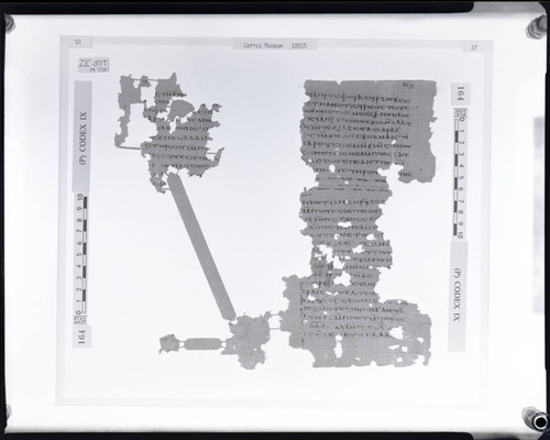 Codex IX, papyrus pages 50 and 27