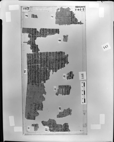 Codex VIII cartonnage fragments