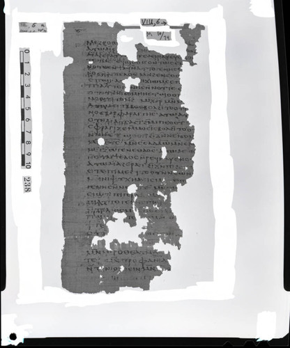 Codex VIII, papyrus page 6