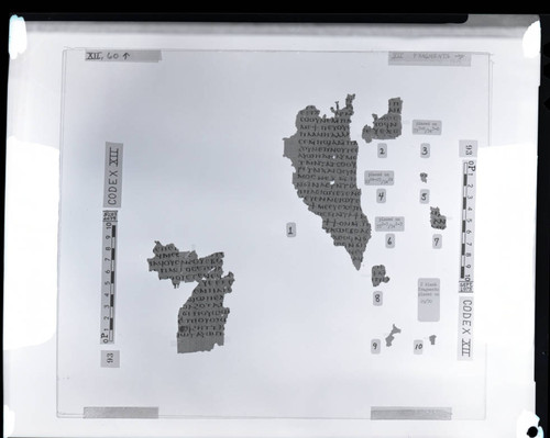 Codex XII, papyrus page 60 and fragments