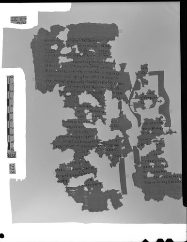 Codex IX, papyrus page 6