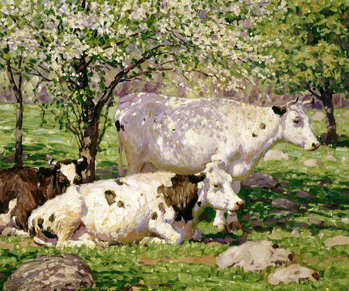 Spring Pastures